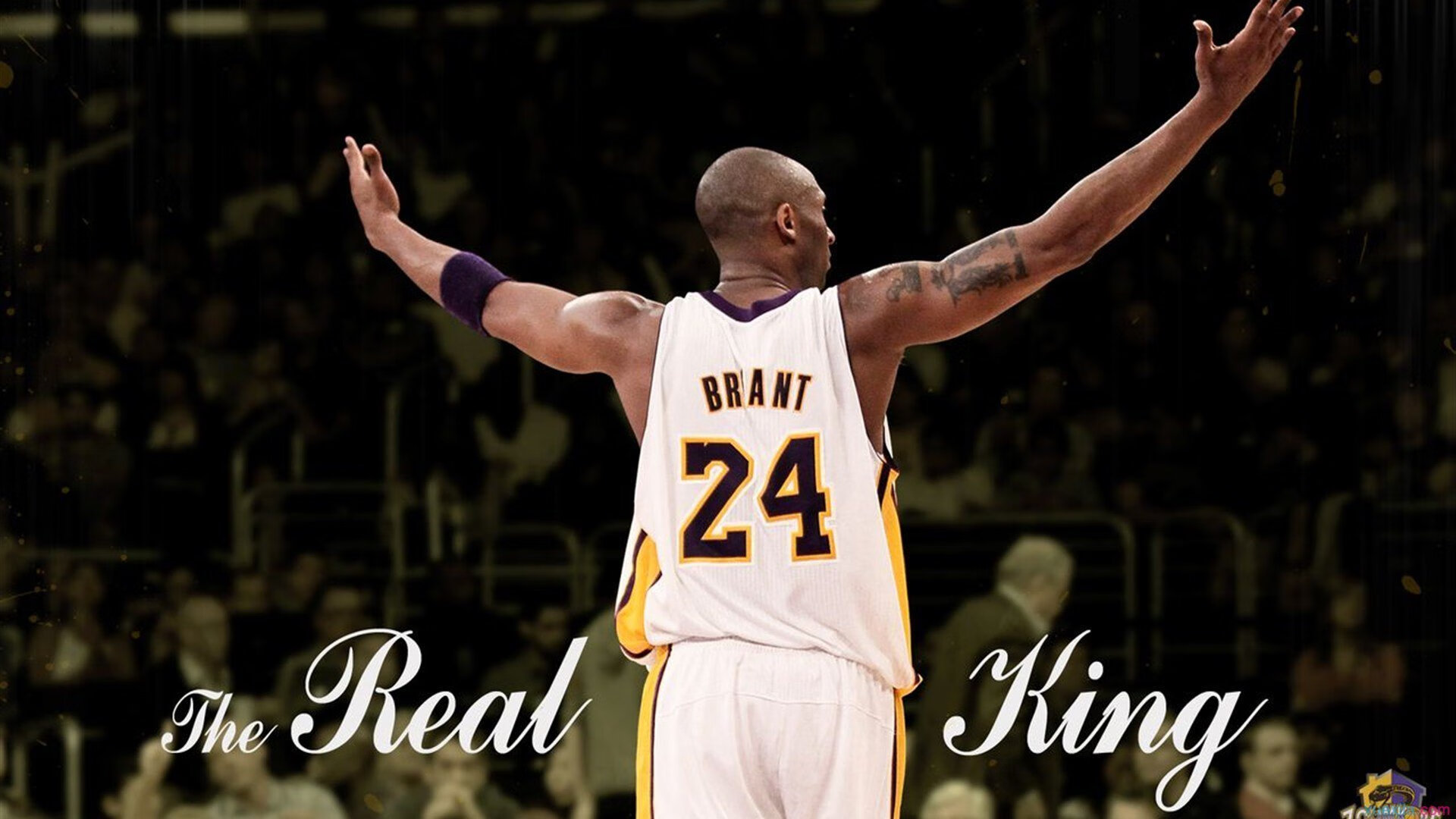 _城市探险跑：运动与旅游的完美结合_，城市探险的现状