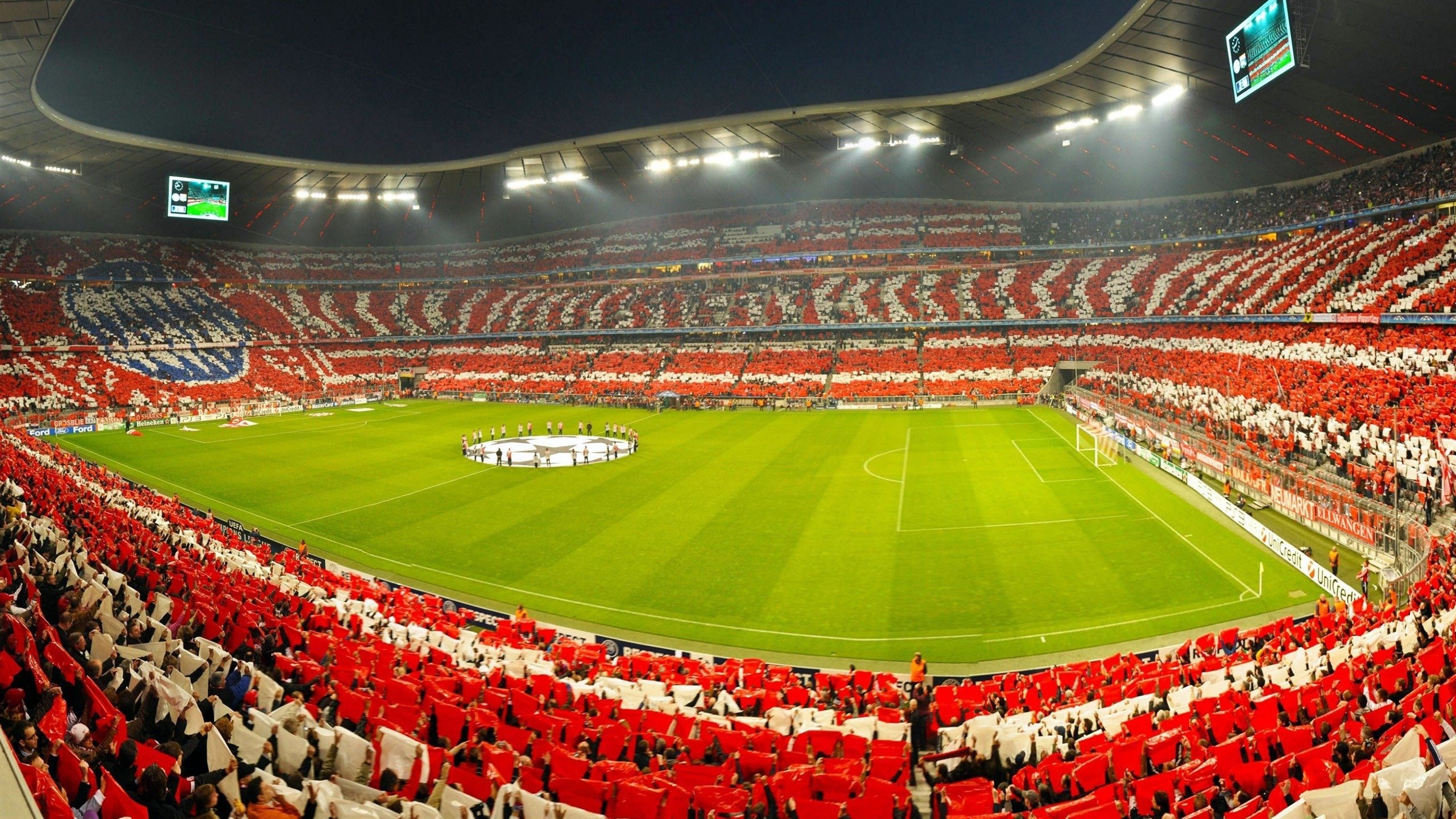 凯尔特人推出“球迷意见议会”,直接影响场馆决策,凯尔特人球迷头像